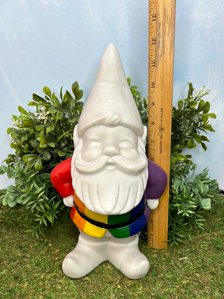 DIY Rainbow Shirt Gnome